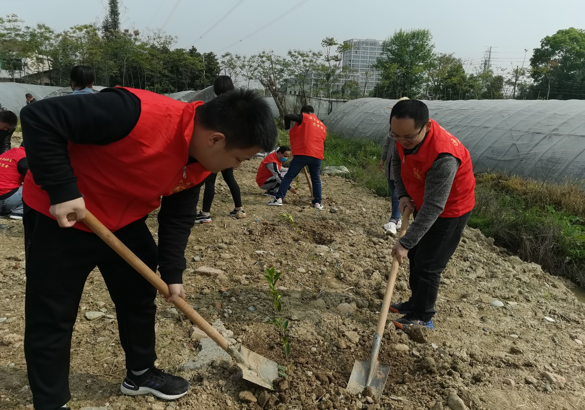 武陵区府坪街道开展学雷锋志愿服务义务植树活动